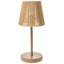 Iron Table Lamp