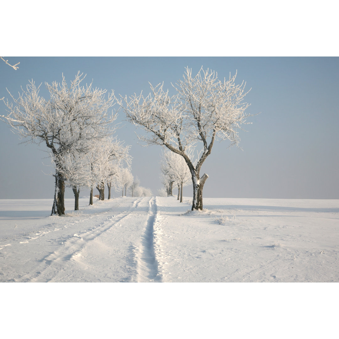 Winter Avenue von Diephosi - Druck auf Leinwand ohne Rahmen