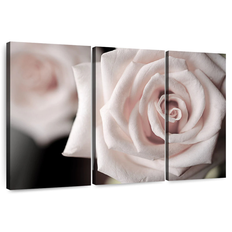 Harnek près d'une rose éblouissante, H 28 po x l 45 po