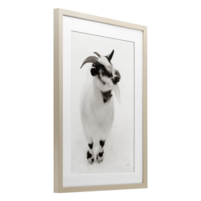 «White Little Goat», reproduction sous verre encadrée par Deborah Revell