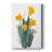 Daffodil Bunch II -Custom Wrapped Gallery Cavas