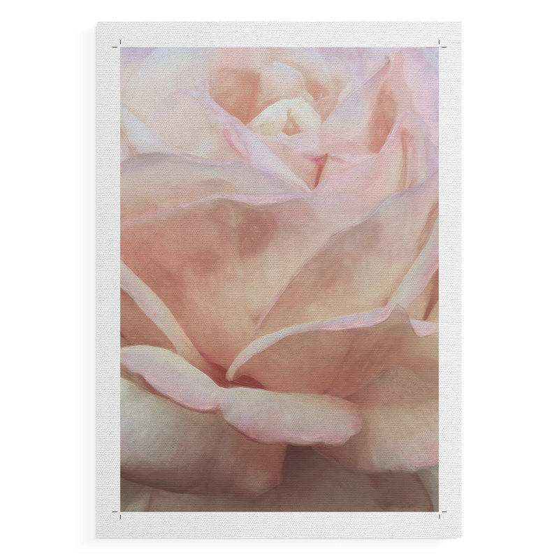 Soft Flower Petals I -Canvas Print Only - NOT FRAMED