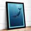Whale in Open Water Coastal - Framed Print-563093076-563093079