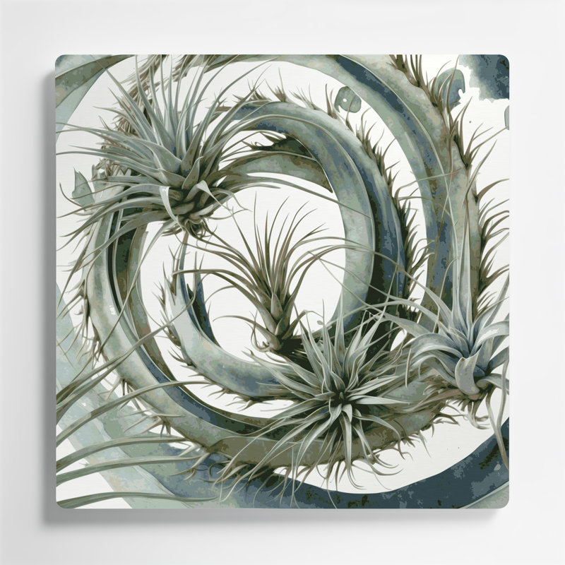 Art mural en métal Botanical Air Plants, H 144 po x l 144 po x P 0,05 po
