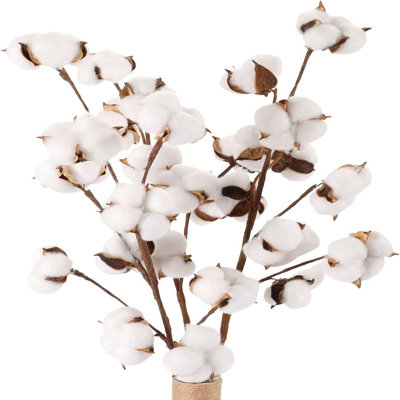 Cotton Arrangement