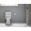 Toilette allongée monobloc économe en eau Tresham ™ 1,28 GPF (siège inclus)-17838398