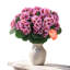 Geranium Arrangement