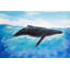 Baleine bleue, reproduction sur toile-2059040041