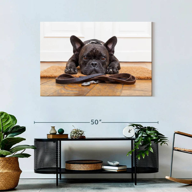 Bouledogue français en attente, H 30 po x l 45 po