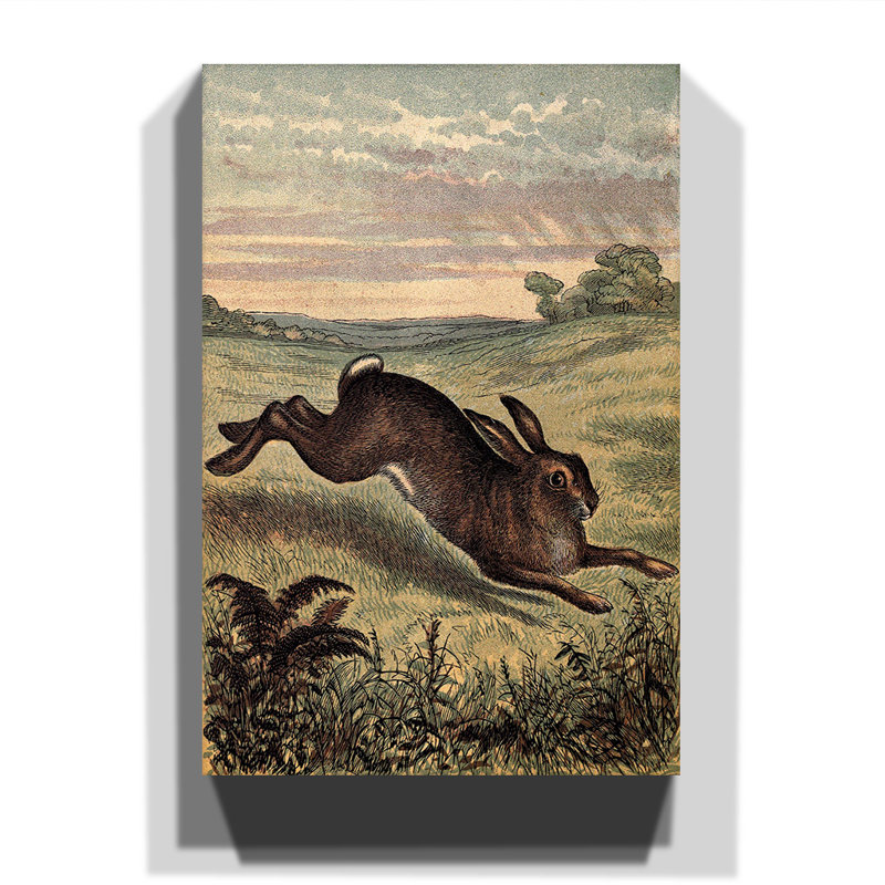 Hare Wrapped Canvas Painting, 60cm H x 40cm W