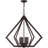 Buckeys 6 - Light Dimmable Chandelier-1060640993