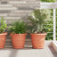 Planter-471815545-471815547