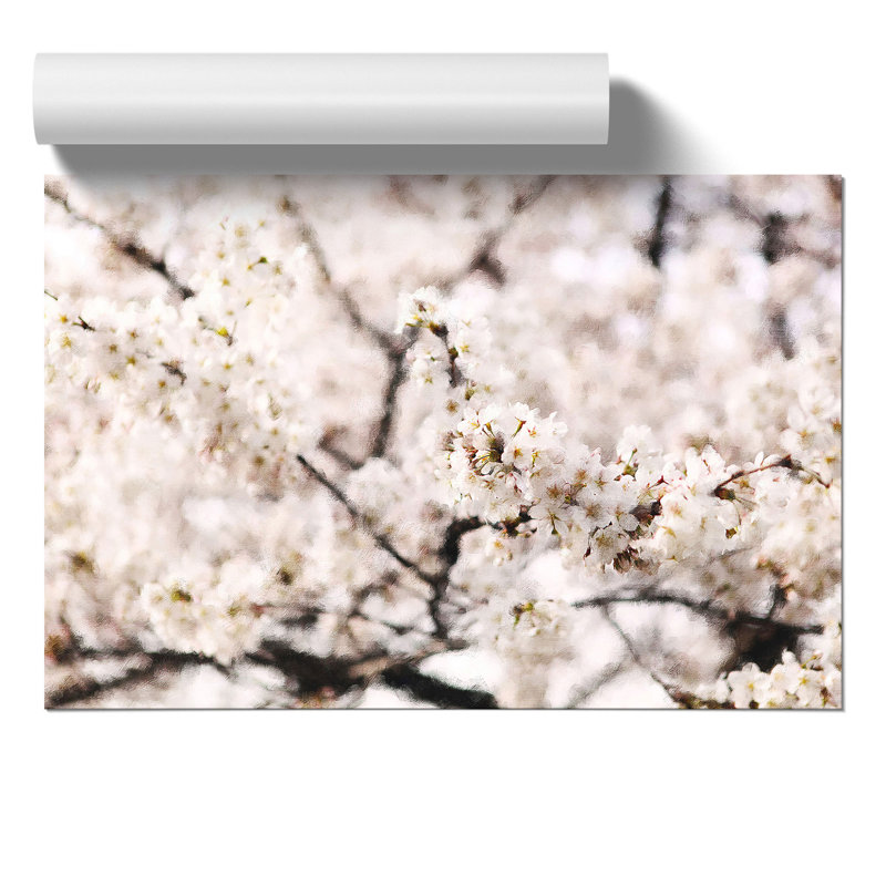 Pink Cherry Blossom Flowers Painting - Frameless Print, 21cm H x 30cm W x 0.1cm D