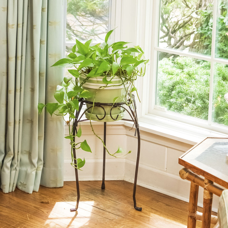 Tehachapi Metal Plant Stand, 21"
