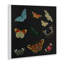 Insectes sur plaque murale noire, design par Dan Meneely