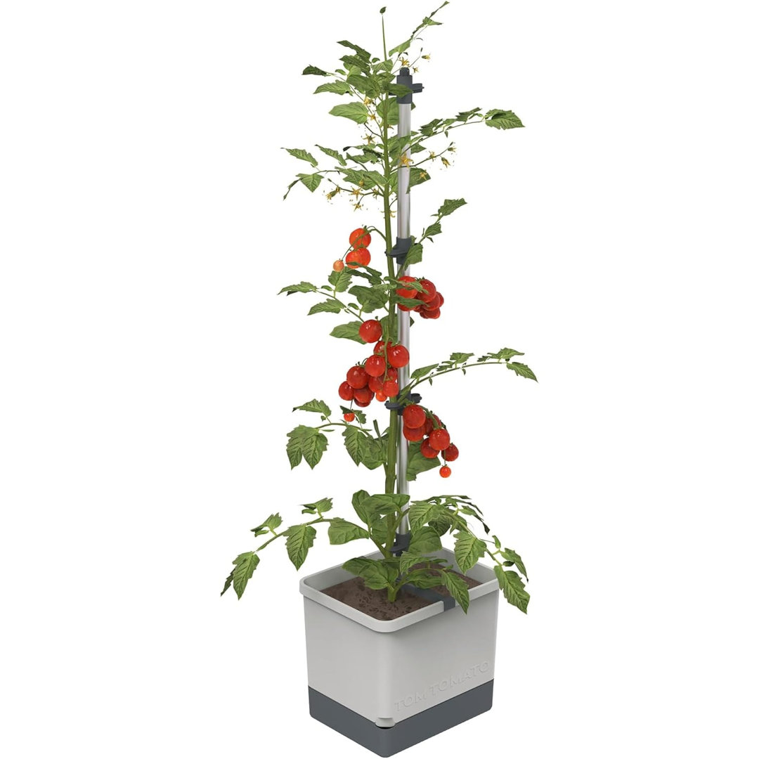 Tom Tomato Tomato Planter Pot, Climbing Aid, Plant Clips, Self-Watering, 4.5L Water Tank, 20L Soil