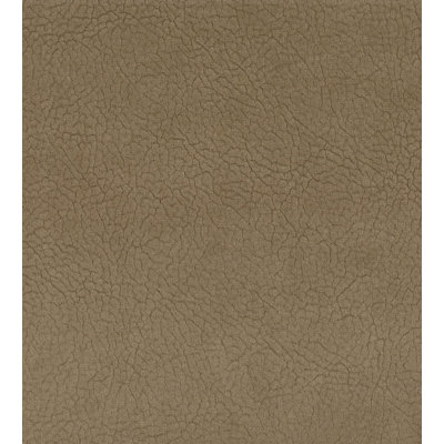 Essential Leathers Fabric