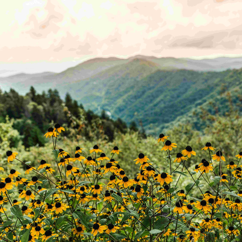 Smoky Mountains National Park - Photographie sur toile tendue, H 30 po x l 30 po