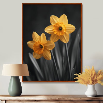 «Yellow Grey Garden Glamour Daffodils» - impression d'art mural jonquilles
