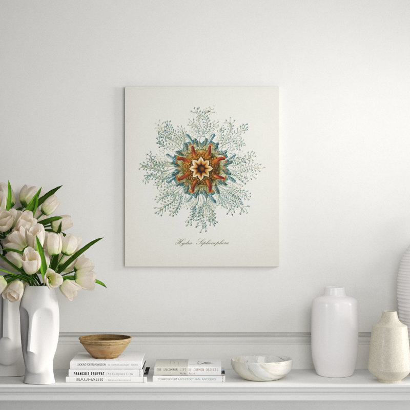 Nautical Art V Print by Sofia Fox, Outdoor, 28" H x 24" W x 1.5" D