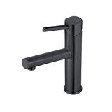 Whitehaus Collection Stainless Steel Single Lever Elevated Bathroom Faucet