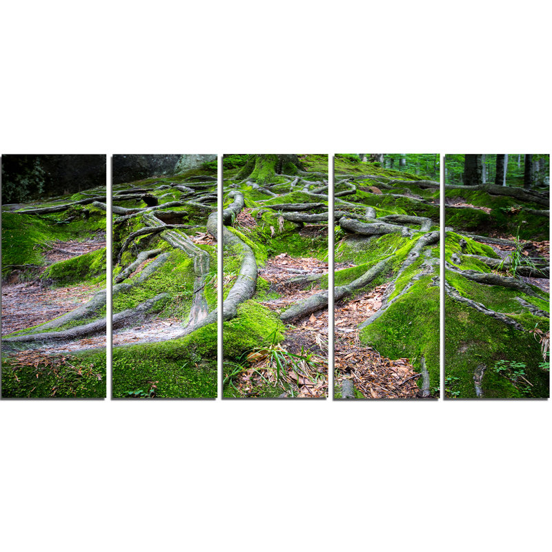Ensemble 5 pièces d’art mural vert sauvage