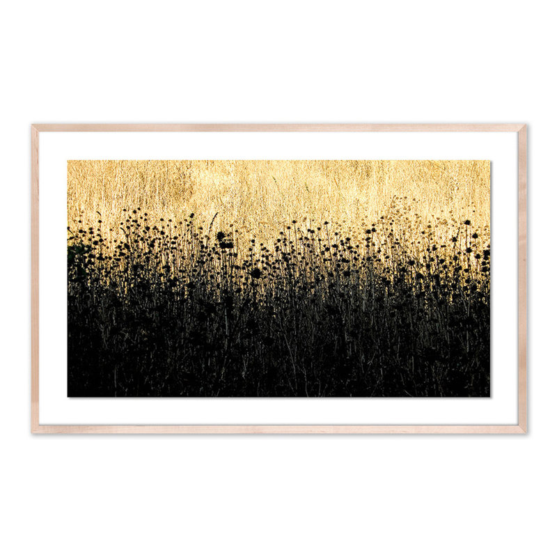 Field Of Dreams Print by Geoffrey Baris, Natural, 30" H x 48" W x 2.5" D