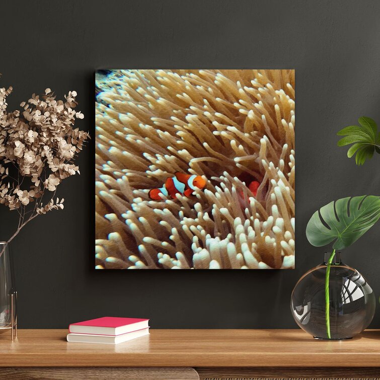 Bayou Breeze Orange And White Clown Fish On Coral Reef On Canvas ...
