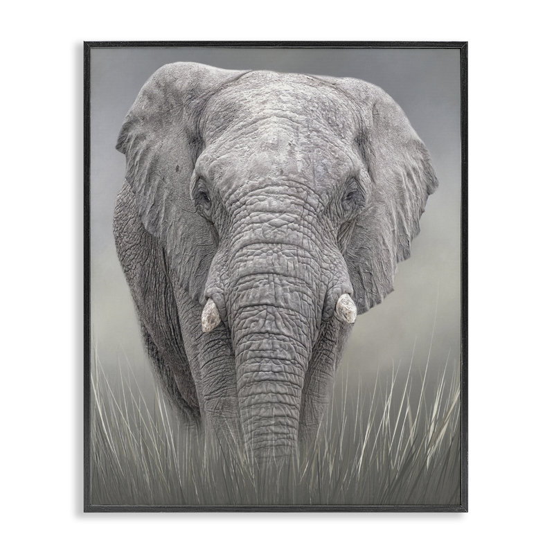 Estampe gracieuse Titan Elephant, giclée par Kelley Parker, H 20 po x l 16 po, Giclée encadrée noir minuit