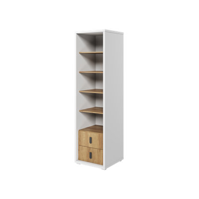 200cm H x 55cm W Standard Bookcase