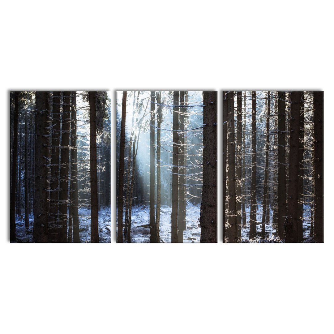 3-tlg. Leinwandbilder-Set Winterwald