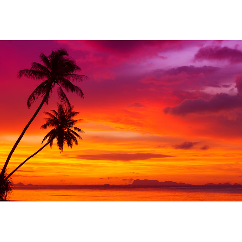Palm Trees On Sunset - Wrapped Canvas Print, 61cm H x 91cm W x 3.8cm D