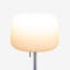 Soft Table Lamp-1879640895