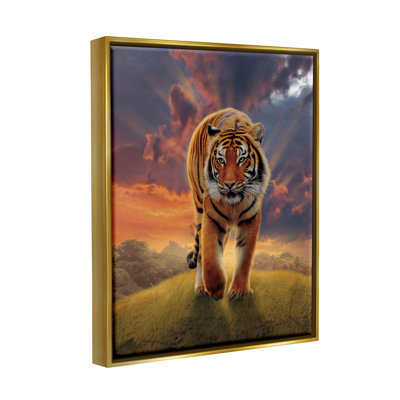 «Rising Tiger Sunset» par Vincent Hie