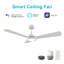 Ventilateur de plafond intelligent 52 po avec télécommande, ensemble d'éclairage inclus, fonctionne avec l'assistant Google et Amazon Alexa, raccourci Siri.-1361002575-1361002578