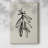 " Mistletoe Sketch With Bows I "-1987591967