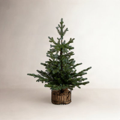 White 3' Pre-Lit Pine Christmas Tree