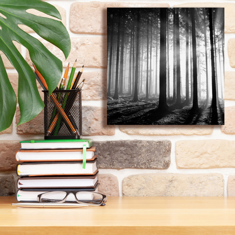 «Wood Light» par PhotoINC Studio, H 12 po x l 12 po x P 0,75 po
