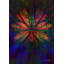 TOTEM 1