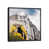 Black Framed selected