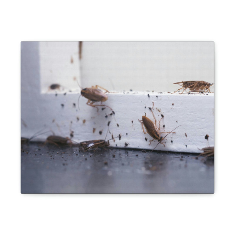 No Frame Print on Canvas, 27.94cm H x 35.56cm W
