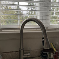 Mueller Home Pull Out Kitchen Faucet & Reviews