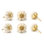 1.57" Length Flower Novelty Knob Multipack