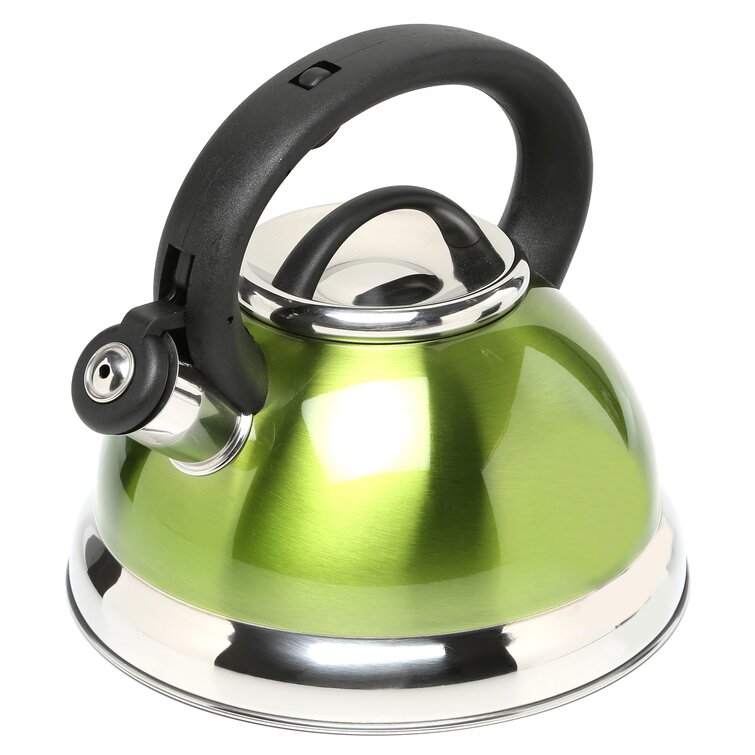 Gibson Spring 10-Cup Silver Stainless Steel Whistling Kettle