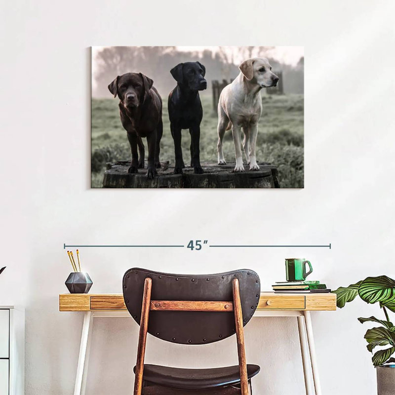 Brampt Labrador Dogs, 24" H x 36" W