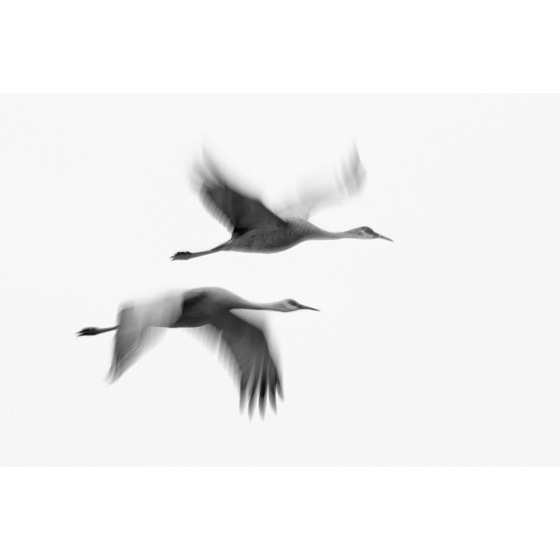 Wrapped Canvas Print, 60.96 cm H x 91.44 cm W