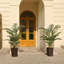 Adcock UV Resistant Artificial Palm Tree, Faux Palm Tree with Decorative Base for Indoor Outdoor-200411184-200411213