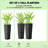 Set Of 2 Flower Pots,Tall Planters,Flower Boxs-246966542