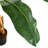 158.5cm Artificial Banana Leaf Tree in Pot