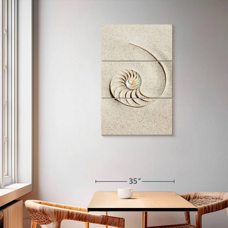 Brampt Nautilus Shell In Sand, 57" H x 36" W